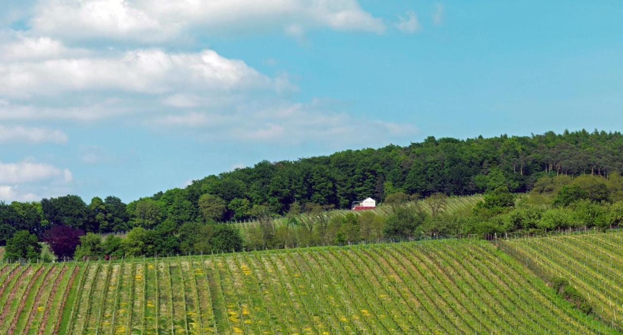 Weinmotel Simon 1 A Alzenau in Unterfranken Esterno foto